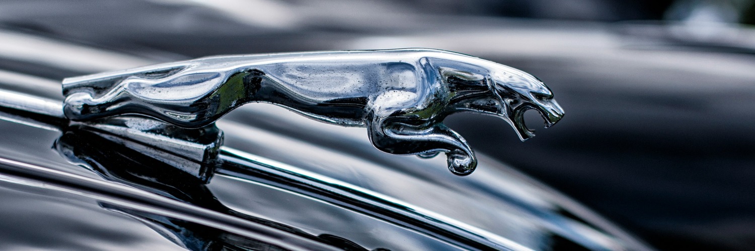 Jaguar Repair