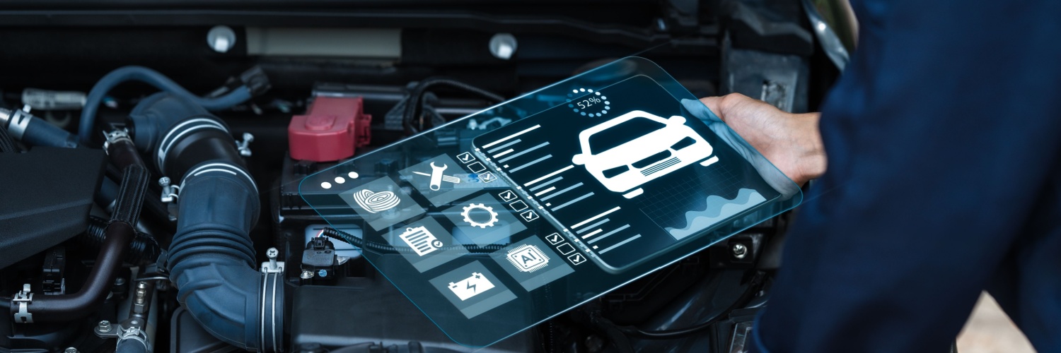 Vehicle Inspections